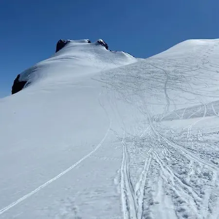 I Flott Og Naer Breen Holiday home Hafslo