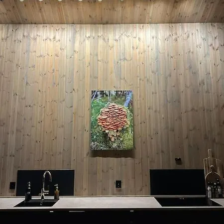 Ny Koselig Ved Sogn Skisenter Hafslo