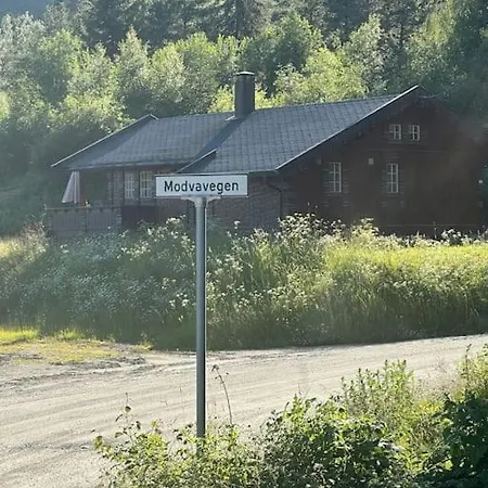 I Flott Og Naer Breen