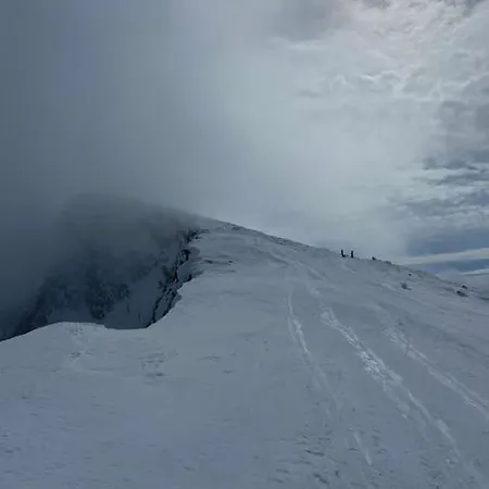 I Flott Og Naer Breen Holiday home Hafslo