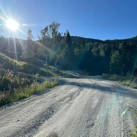 Tatil Evi Ny Koselig Ved Sogn Skisenter